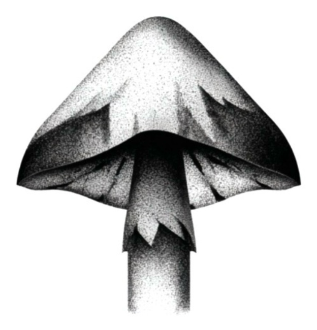 Inky cap mushroom, dotwork flash by Tuba
